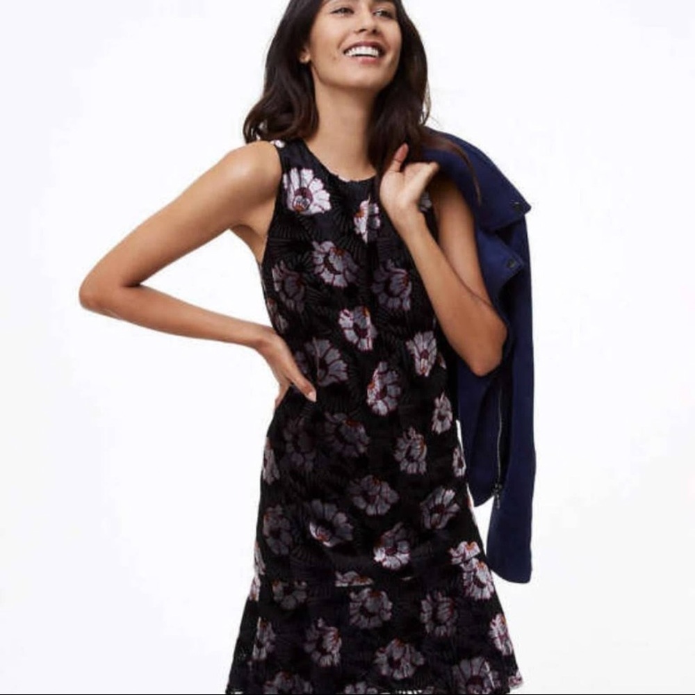 LOFT Iced Floral Velvet Swing Dress - Size Small